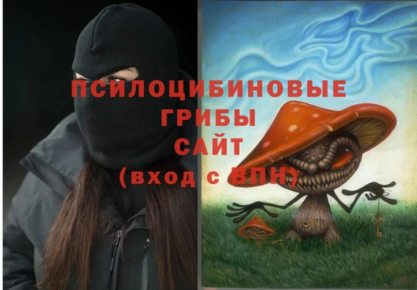 дурь Лиски