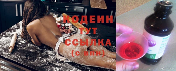 амф Липки