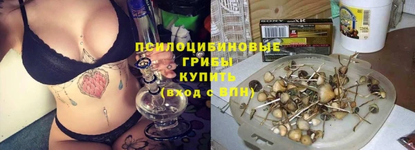 амф Липки