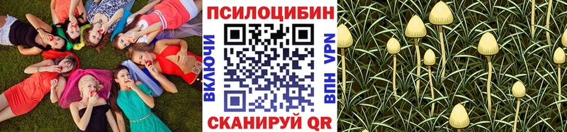 где можно купить наркотик  kraken ССЫЛКА  Псилоцибиновые грибы Psilocybe  Зуевка 